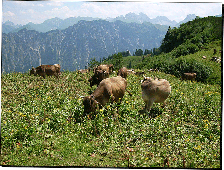 Allgäu