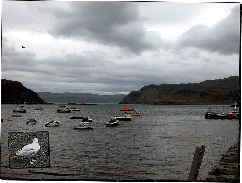 Portree